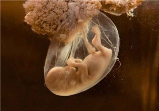 為什么說寶寶是一把屎一把尿養大的 孩子真的是一泡屎一泡尿養大嗎