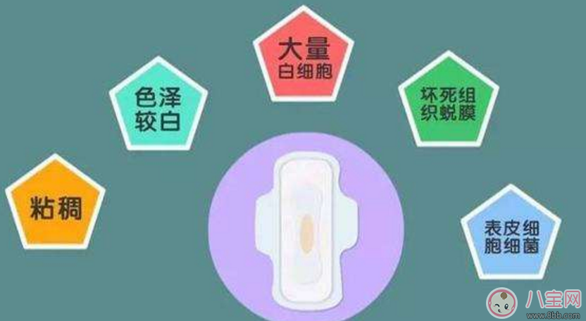 產后月經和產后惡露有什么區別 產后月經什么時候來