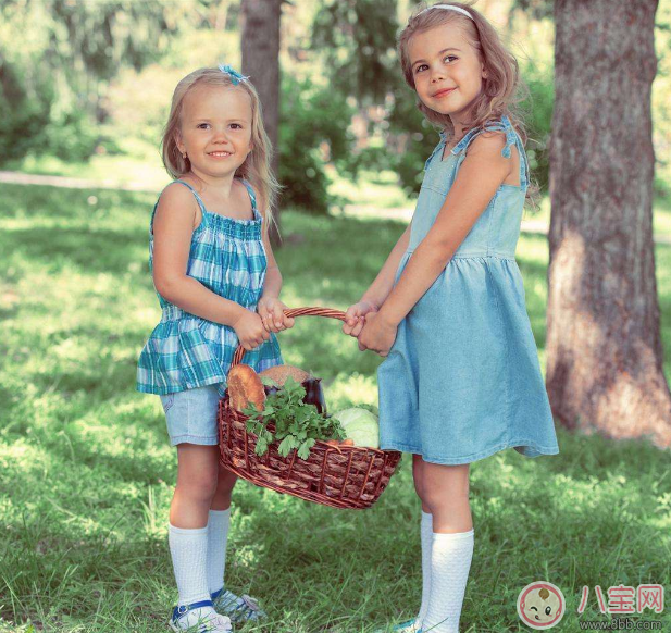 兩個孩子一玩玩具就打架怎么辦 父母怎么調和孩子之間的矛盾 兩個孩子一玩玩具就打架怎么辦 父母怎么調和孩子之間的矛盾