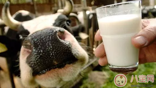 寶寶喝的牛奶選哪種比較好 1-6歲孩子牛奶選購指南 寶寶喝的牛奶選哪種比較好 1-6歲孩子牛奶選購指南