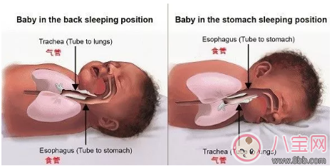 孩子怎么睡覺最安穩(wěn) 最適合孩子睡覺的姿勢(shì)是什么