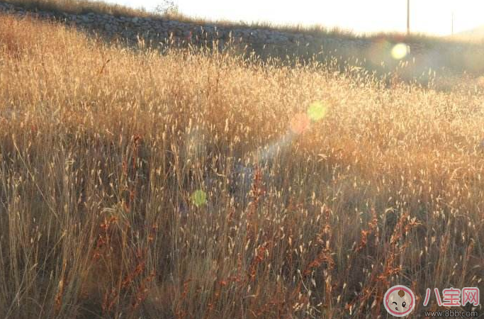 懷孕的時(shí)候可以吧肚皮敞開曬太陽(yáng)嗎 準(zhǔn)媽媽曬哪個(gè)部位最好 懷孕的時(shí)候可以吧肚皮敞開曬太陽(yáng)嗎 準(zhǔn)媽媽曬哪個(gè)部位最好