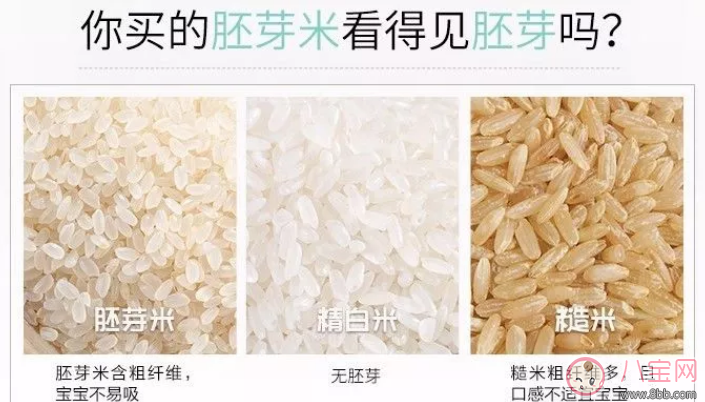 章子怡家醒醒在吃的米小芽大米米粉怎么樣 米小芽大米米粉寶寶吃好不好