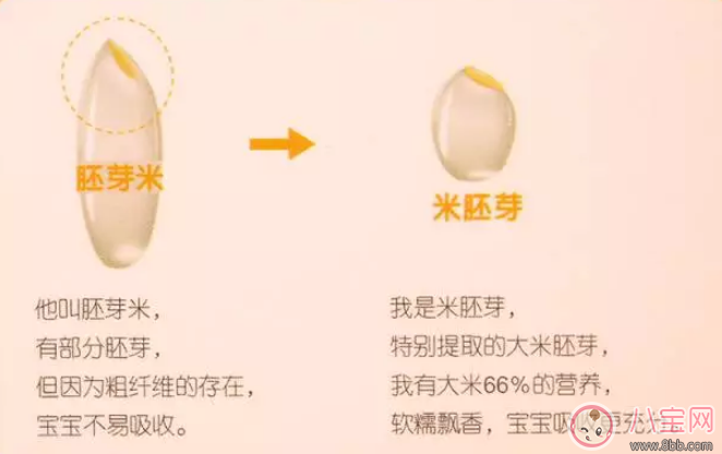 章子怡家醒醒在吃的米小芽大米米粉怎么樣 米小芽大米米粉寶寶吃好不好