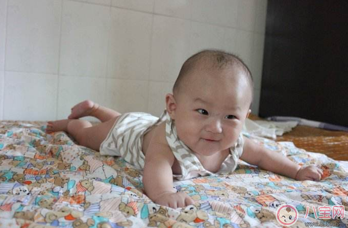 孩子的猛長期怎么養比較好 孩子迅速長身體階段怎么做好 孩子的猛長期怎么養比較好 孩子迅速長身體階段怎么做好