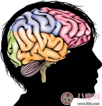 寶寶視覺激發促進腦部發育使寶寶更聰明 0到1歲寶寶必備書籍