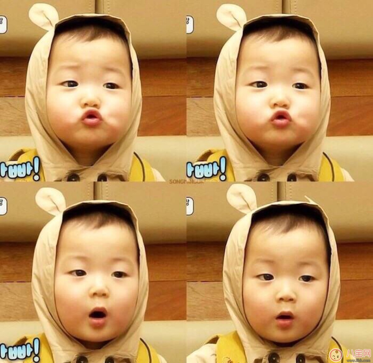 宋家三胞胎長大了是什么樣子 宋家三胞胎最新照片