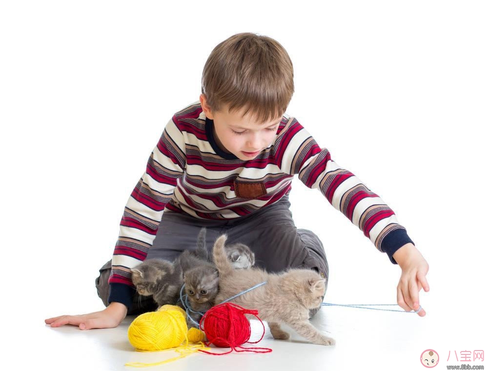家有寶寶怎么飼養貓狗 如何讓寶寶接觸寵物 家有寶寶怎么飼養貓狗 如何讓寶寶接觸寵物
