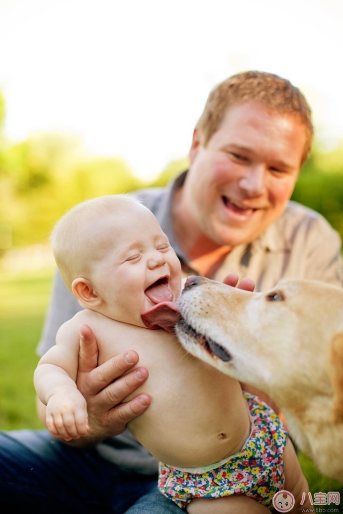 家有寶寶怎么飼養貓狗 如何讓寶寶接觸寵物 家有寶寶怎么飼養貓狗 如何讓寶寶接觸寵物