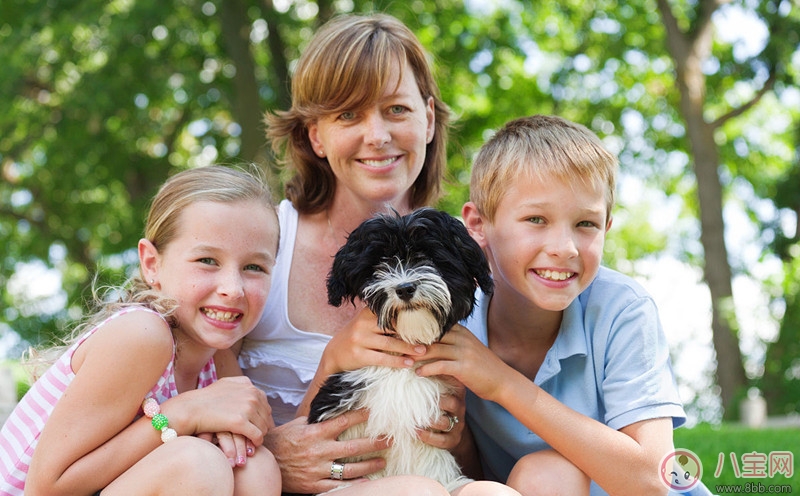 家有寶寶怎么飼養貓狗 如何讓寶寶接觸寵物 家有寶寶怎么飼養貓狗 如何讓寶寶接觸寵物