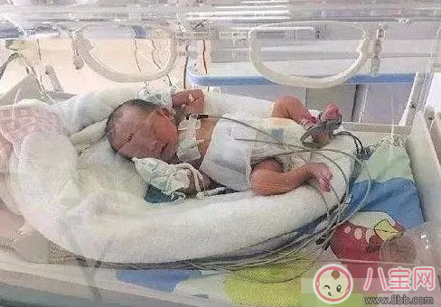 懷孕八個(gè)月想嘿嘿嘿怎么辦 會(huì)對胎兒有影響嗎 懷孕八個(gè)月想嘿嘿嘿怎么辦 會(huì)對胎兒有影響嗎