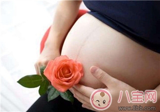 胎兒怎么一腳踢破媽媽子宮 為什么胎兒會踢破媽媽子宮