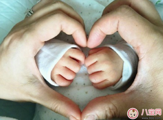 胡杏兒生的是女兒還是兒子 胡杏兒在哪里坐月子