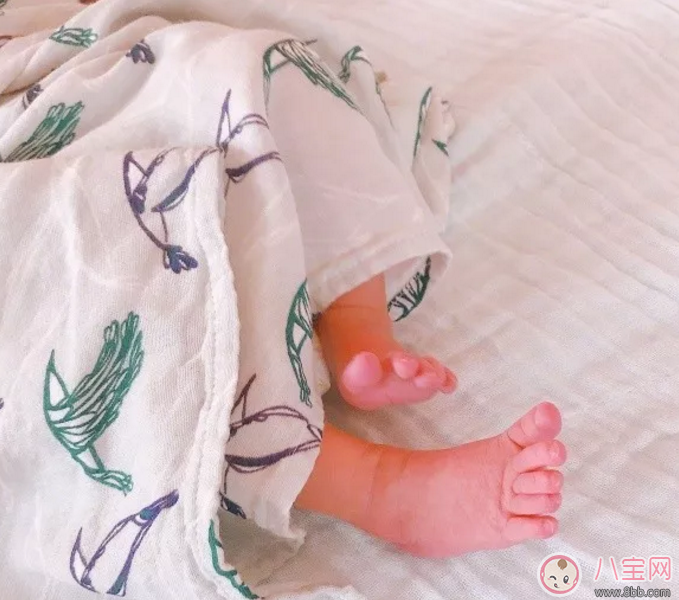 朱丹女兒大名名字叫什么 朱丹女兒小名為什么叫小花生 朱丹女兒大名名字叫什么 朱丹女兒小名為什么叫小花生