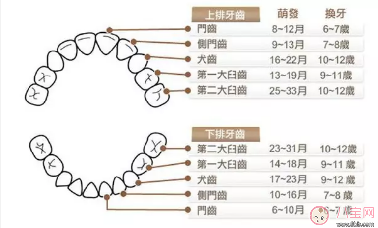 寶寶八個月了不長牙正常嗎 為什么補鈣了孩子還是不長牙
