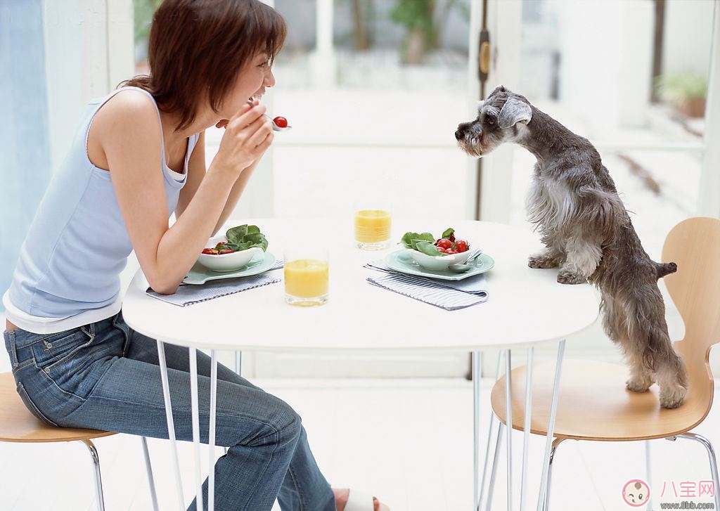 疾病會影響懷孕嗎 哪些疾病會降低懷孕的幾率