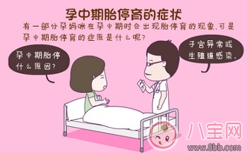 胎停的原因是什么有胎心胎芽也會胎停嗎 胎停育后要做什么檢查胎停后多久可以再孕