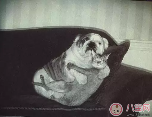 產后性冷淡正常嗎 怎么改善產后的性冷淡問題