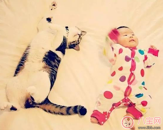 懷孕前養寵物要做什么檢查 坐月子能養寵物嗎 懷孕前養寵物要做什么檢查 坐月子能養寵物嗎