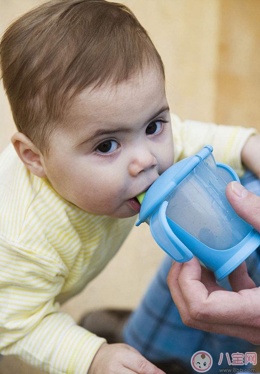 孩子應(yīng)該用哪種杯子 如何讓孩子自己用杯子喝水 孩子應(yīng)該用哪種杯子 如何讓孩子自己用杯子喝水