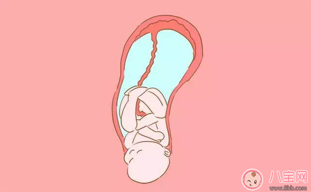 產道那么小孩子是怎么生出來的 生產前做什么有助于順利生產 產道那么小孩子是怎么生出來的 生產前做什么有助于順利生產