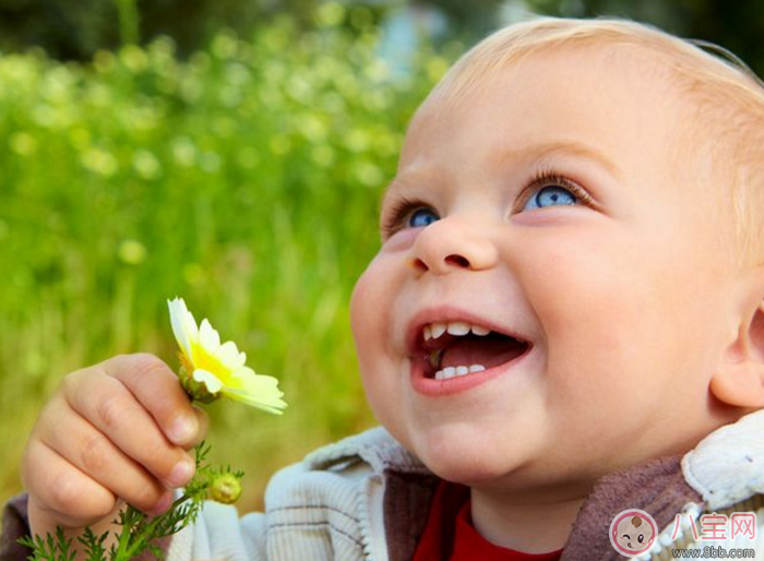 三歲孩子戶外怎么玩 三歲孩子戶外玩好嗎有什么影響 三歲孩子戶外怎么玩 三歲孩子戶外玩好嗎有什么影響