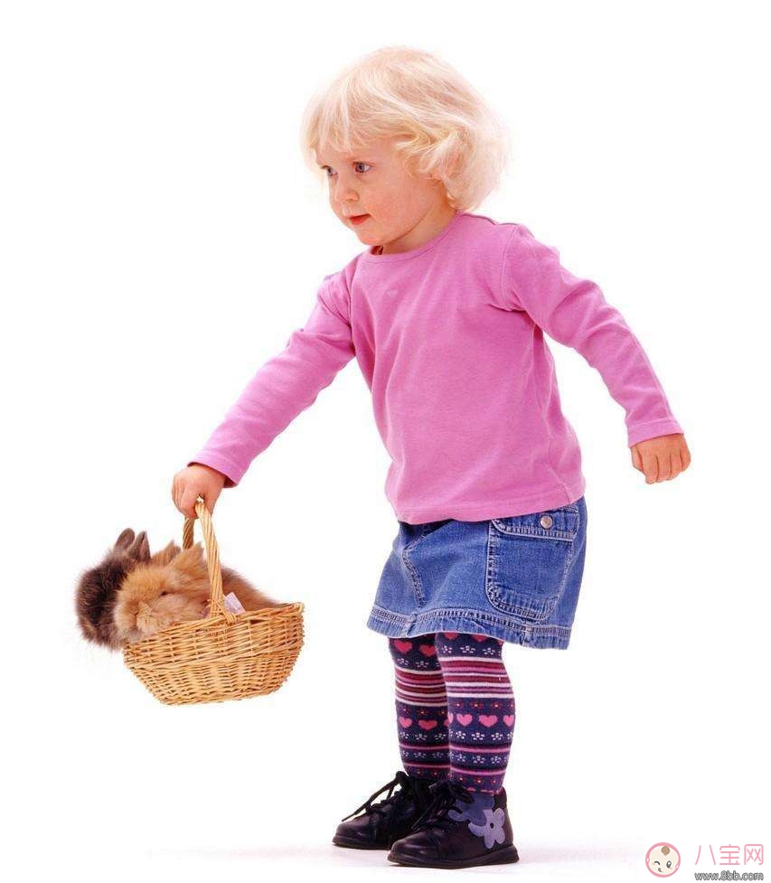 如何教育幼兒與寵物相處 怎么做與寵物互動 如何教育幼兒與寵物相處 怎么做與寵物互動