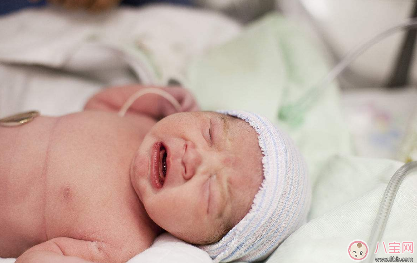 寶寶哭得很兇是生病了嗎 怎么區(qū)分孩子正常哭鬧和生病哭鬧