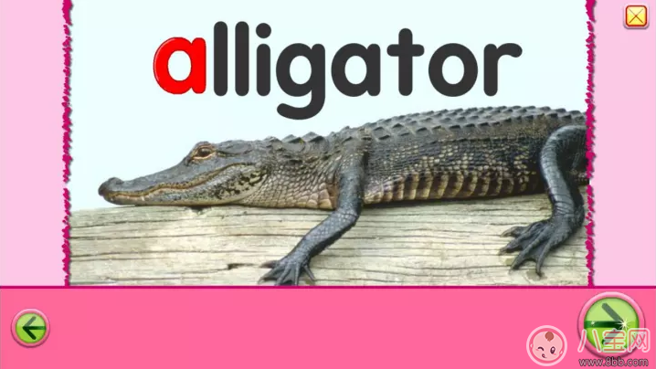 寶寶學英語用什么app好 8款免費自然拼讀App推薦 寶寶學英語用什么app好 8款免費自然拼讀App推薦