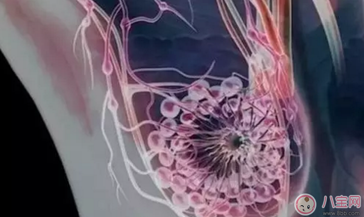 B超報告單乳腺增生小葉增生是什么意思 婦科B超單乳腺增生有影響嗎