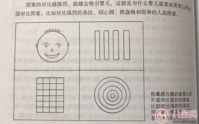 Manhattan布書(shū)怎么樣 Manhattan布書(shū)寶寶用效果測(cè)評(píng) Manhattan布書(shū)怎么樣 Manhattan布書(shū)寶寶用效果測(cè)評(píng)