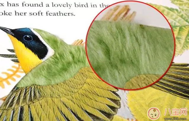 給孩子買什么繪本比較好 適合孩子閱讀的繪本推薦