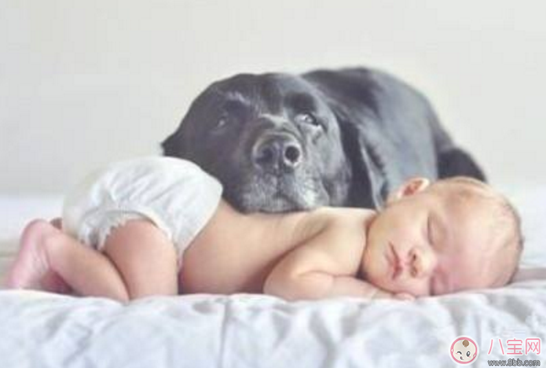 十月初一鬼節出生的人命硬嗎 十月初一鬼節出生的人命運怎么樣