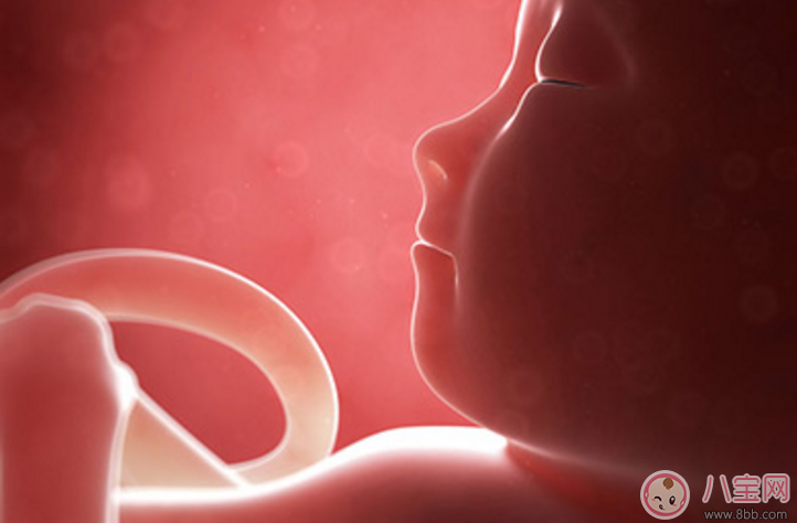 寶寶在媽媽肚子里就會哭了嗎 胎兒在肚子里哭是怎么回事 寶寶在媽媽肚子里就會哭了嗎 胎兒在肚子里哭是怎么回事