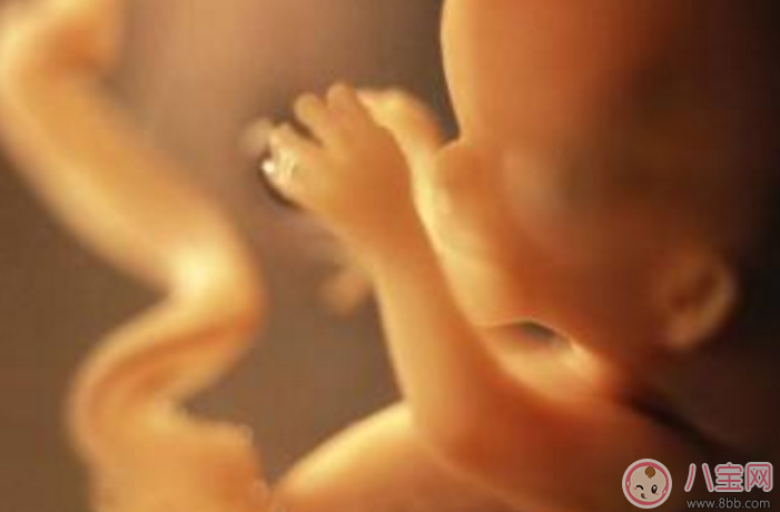 寶寶在媽媽肚子里就會哭了嗎 胎兒在肚子里哭是怎么回事 寶寶在媽媽肚子里就會哭了嗎 胎兒在肚子里哭是怎么回事