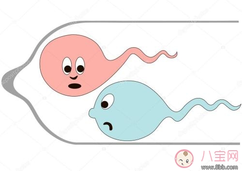 孕期性生活的好處有哪些 有哪些注意事項 孕期性生活的好處有哪些 有哪些注意事項