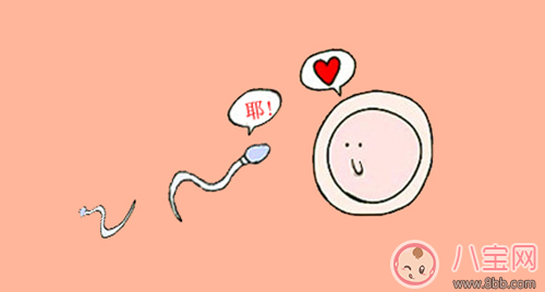 備孕不是一個(gè)人的事 先給精子把個(gè)脈