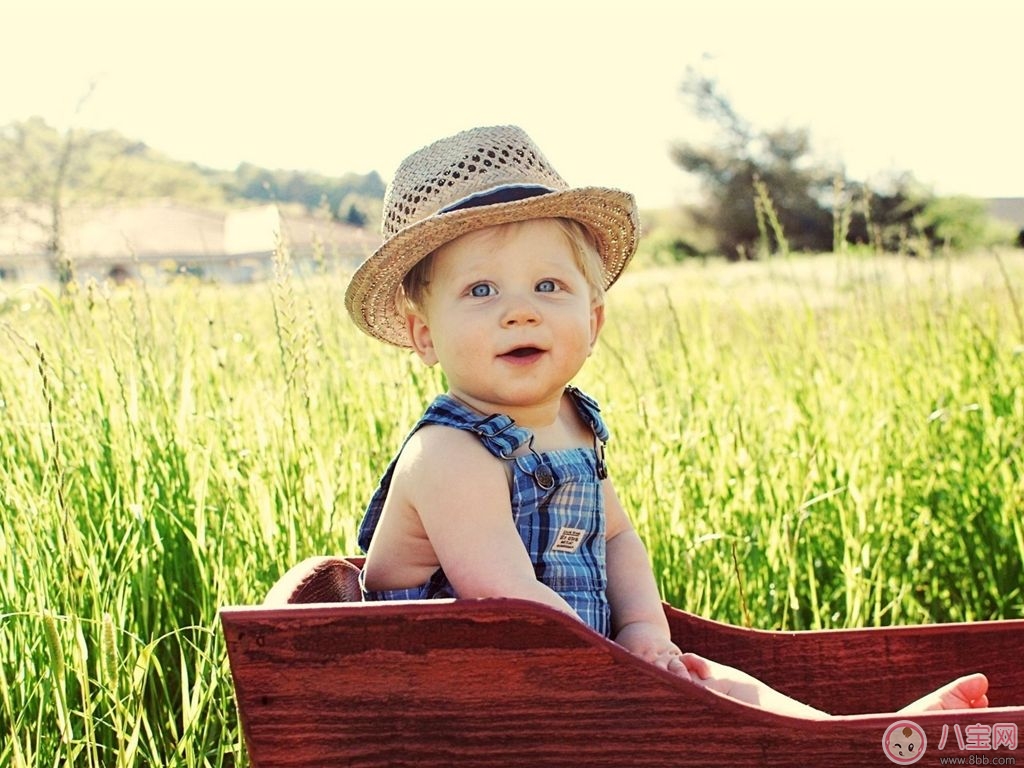 寶寶總是流汗是新陳代謝旺盛嗎 嬰幼兒容易流汗怎么護(hù)理 寶寶總是流汗是新陳代謝旺盛嗎 嬰幼兒容易流汗怎么護(hù)理