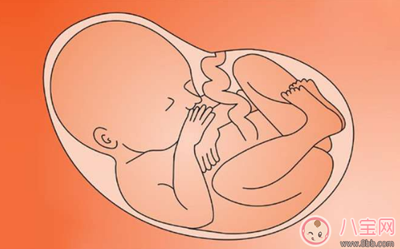 孕婦睡覺的時候胎兒也在睡覺嗎 胎兒什么時候睡覺
