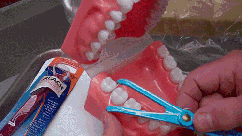 孩子可以用牙線嗎 孩子用牙線會不會導致牙縫變大