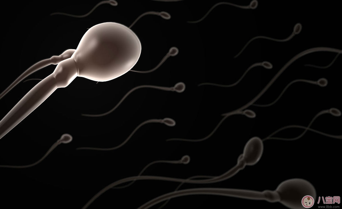 排卵期間連續(xù)兩天AA 精子質(zhì)量是否下降 排卵期間連續(xù)兩天AA 精子質(zhì)量是否下降