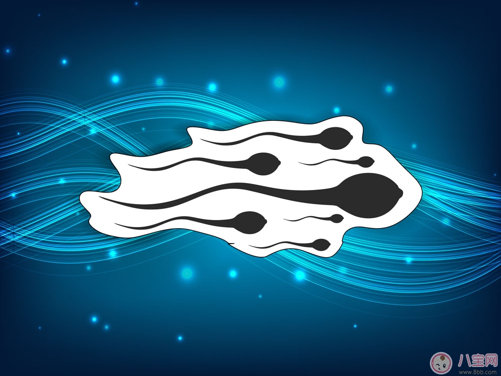 聽說精子可以讓女性變聰明 關于精子的其他功效 聽說精子可以讓女性變聰明 關于精子的其他功效