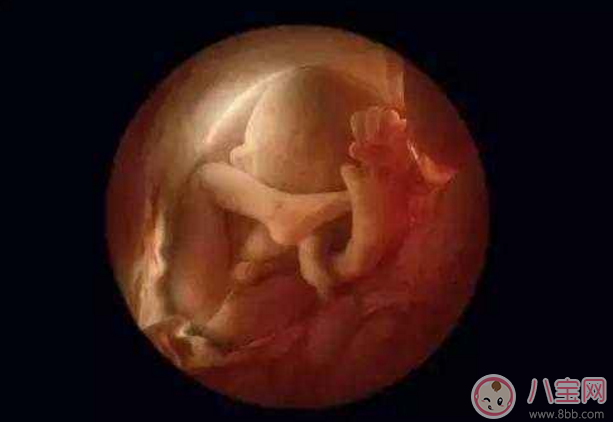 胎寶寶一天要睡多久 寶寶睡眠時間表