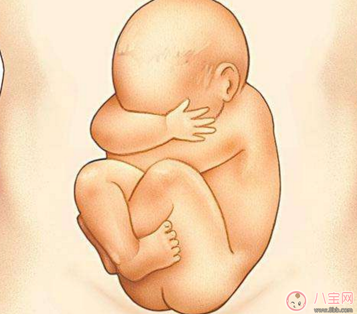 胎寶寶打嗝的位置是頭部嗎 怎么通過胎兒打嗝判斷胎胎位