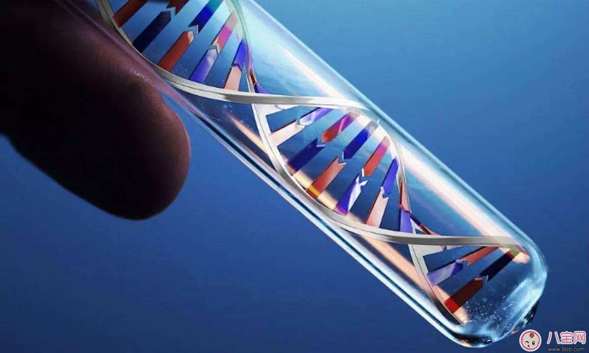 精子檢查報告單怎么看 精子成活率為1%老婆能懷孕嗎