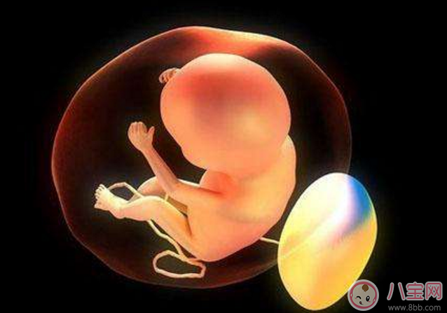 胎寶寶打嗝說明不缺氧是真的嗎 胎兒打嗝就能判斷證明宮內沒缺氧