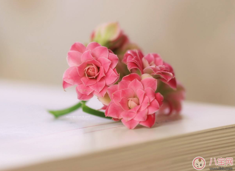 胎教最佳時間是什么時候 準媽媽怎么做胎教對胎兒最好