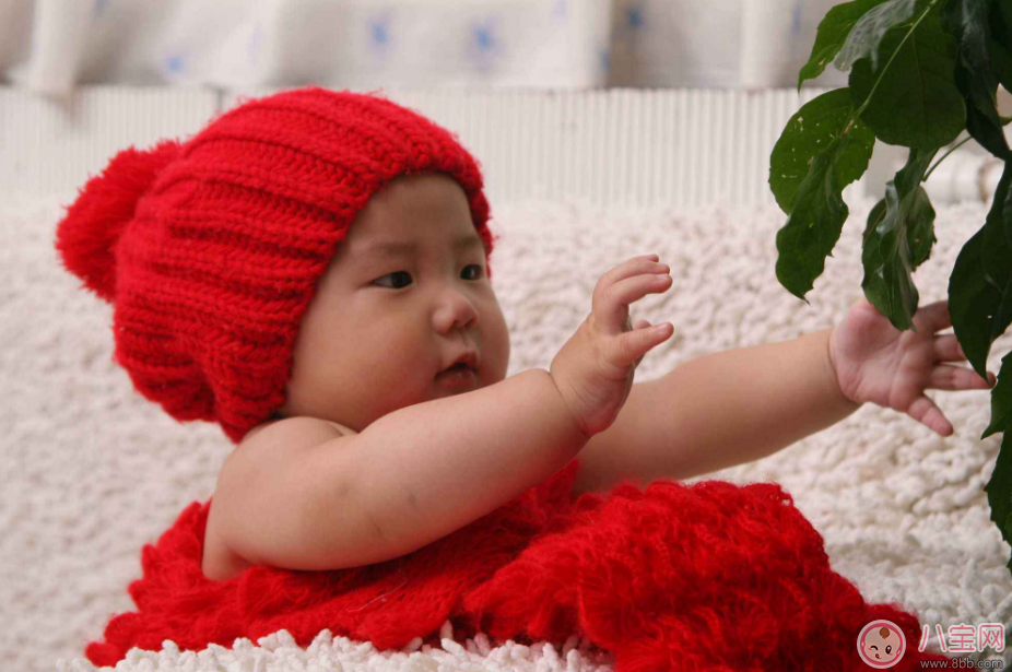 為什么現在很多孩子都貧血 孩子貧血的真正原因是什么 為什么現在很多孩子都貧血 孩子貧血的真正原因是什么