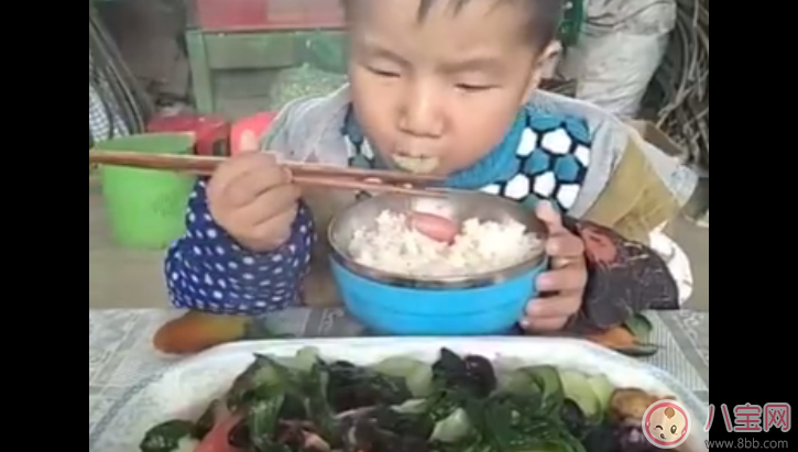 乖乖吃飯的孩子為什么會火 怎么讓孩子乖乖吃飯