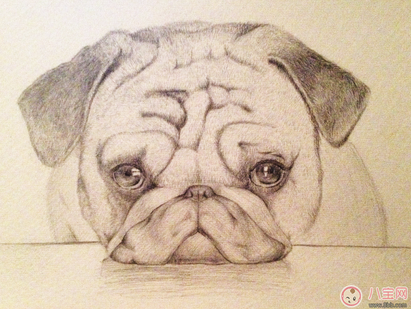 孩子上初中情緒大怎么辦 為什么孩子上初中后會有那么多情緒 孩子上初中情緒大怎么辦 為什么孩子上初中后會有那么多情緒